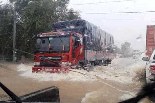 lu nhan chim hang nghin nha dan o binh dinh quoc lo ngap lut banh oto