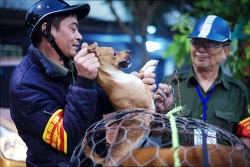 de xuat quan ly cho nuoi o ha noi bang phan mem