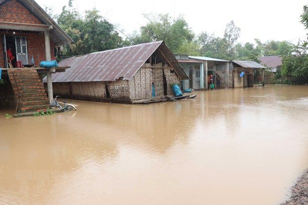 germanwatch viet nam chiu thiet hai nang ne do bien doi khi hau