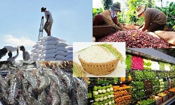 Xuất khẩu nông sản lập kỷ lục, tiến sát mốc 50 tỷ USD