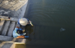 Trạm cấp nước sạch hàng chục tỷ đồng bỏ hoang ở Hà Nội