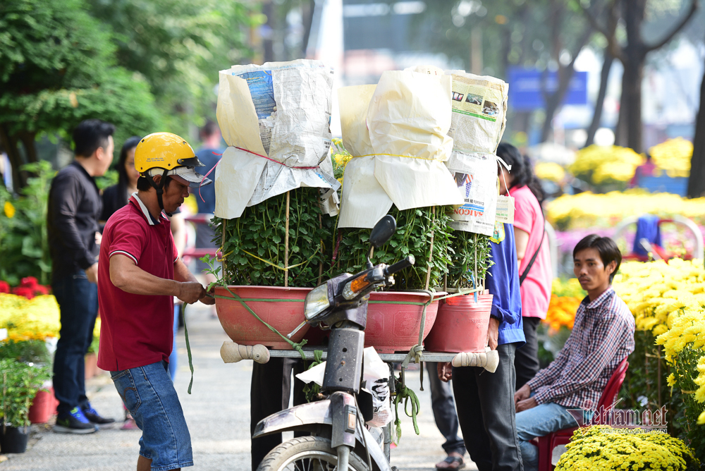 gioi tre khoe sac ben cho hoa tet sai gon