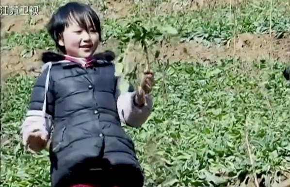 cau chuyen dang sau biet tai tia rau cu cua be gai trung quoc