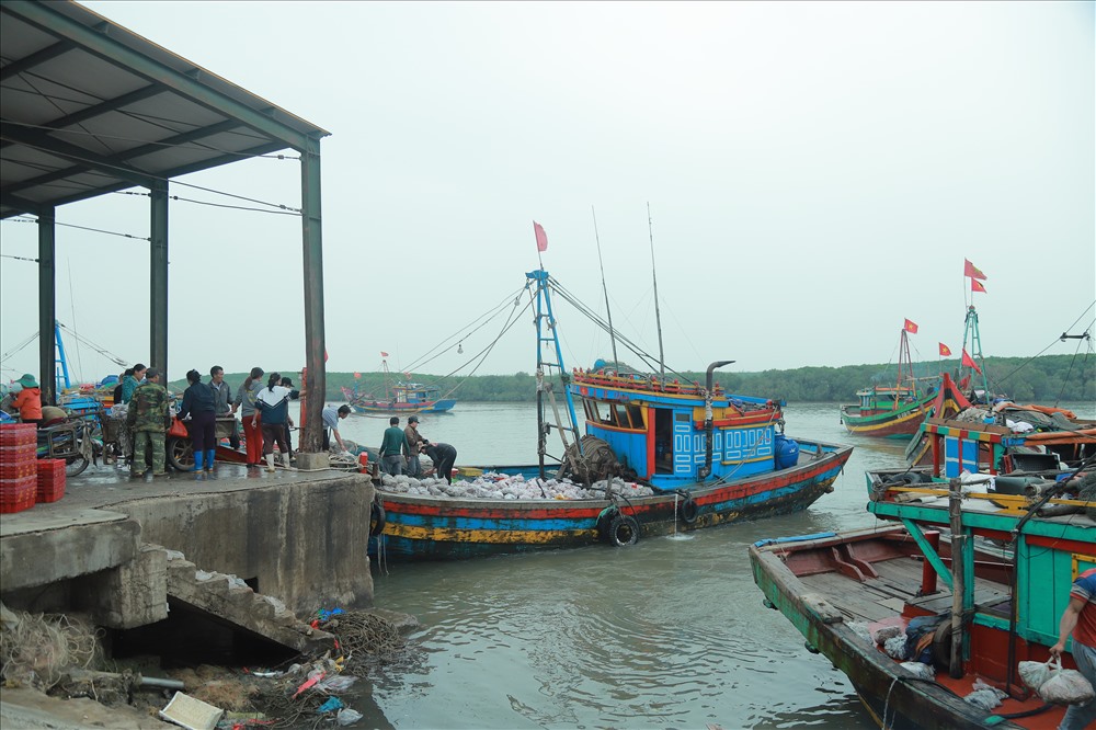 ra ngu truong truong sa hoang sa an tet