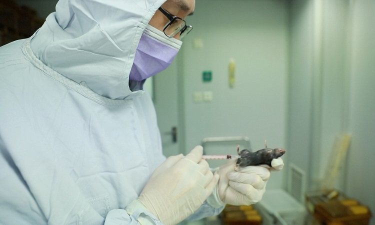 trung quoc thu nghiem vaccine ncov tren dong vat