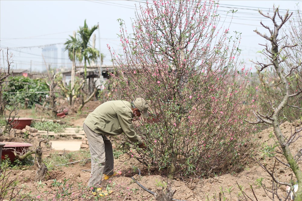 nghe buon xac dao quat kiem tien trieu mot ngay sau tet