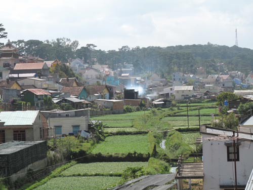 nguoi da lat mat mat