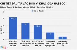 mat 16 ty usd dai gia thai gap con song gio o viet nam