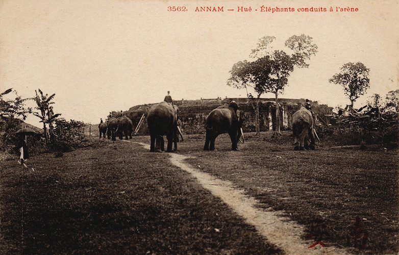 tan muc dan voi chien hoanh trang cua nha nguyen