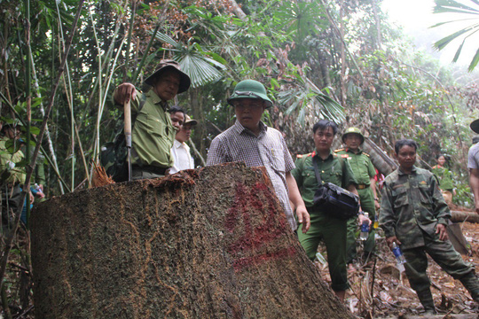 pho chu tich quang nam thay rung bi pha cam giac nhu mau minh do xuong