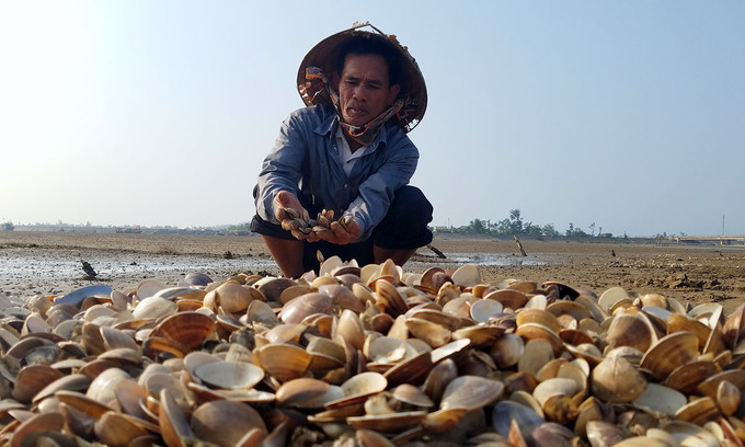 hon chuc tan ngao chet trang dam o ha tinh