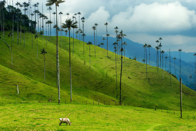 vinh ha long mu cang chai lot top canh dep nhat trai dat