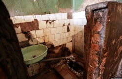 xon xao truoc nghien cuu rau ban hon long cho