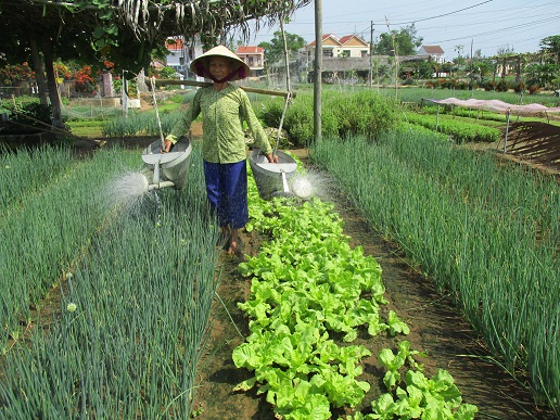 lang rau tra que nong dan vua trong rau vua lam du lich