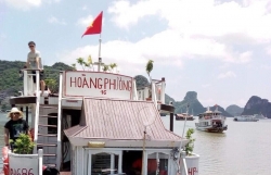 tham vinh ha long qua huong cat ba chi la tro lua bip