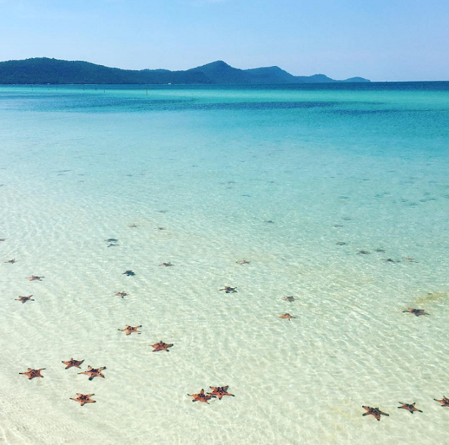 lac buoc o vuong quoc sao bien ngay o phu quoc