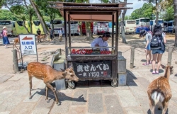 canada tung chien luoc loai bo rac thai nhua