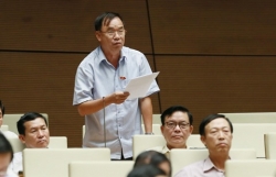 'Việt Nam vay hàng tỷ USD trong khi vàng và ngoại tệ của dân rất lớn' 'Việt Nam vay hàng tỷ USD trong khi vàng và ngoại tệ của dân rất lớn'