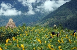 bang gia xuat hien tren dinh fansipan