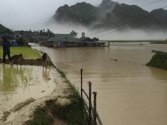 cac tinh tay bac chim trong bien nuoc