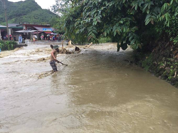 cac tinh tay bac chim trong bien nuoc