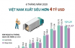 6 tháng đầu năm 2020, Việt Nam xuất siêu hơn 4 tỷ USD