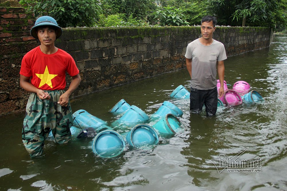 lut lich su o chuong my ho tong lon chay khoi bien nuoc