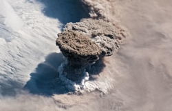 nhung phien toa nguoc doi phat va loai vat o thoi trung co