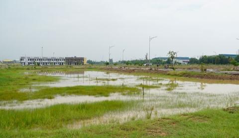 long an nhieu du an co cao hon cong trinh