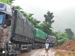 dat da vui lap hai nha may thuy dien gan 300 phuong tien chim trong nuoc