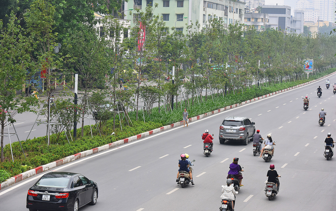 nhieu cay phong tren pho ha noi chuyen sac do