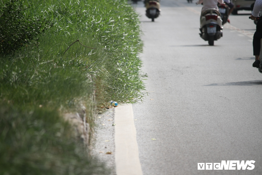 anh co cay dai moc cao qua dau nguoi um tum nhu rung giua pho ha noi
