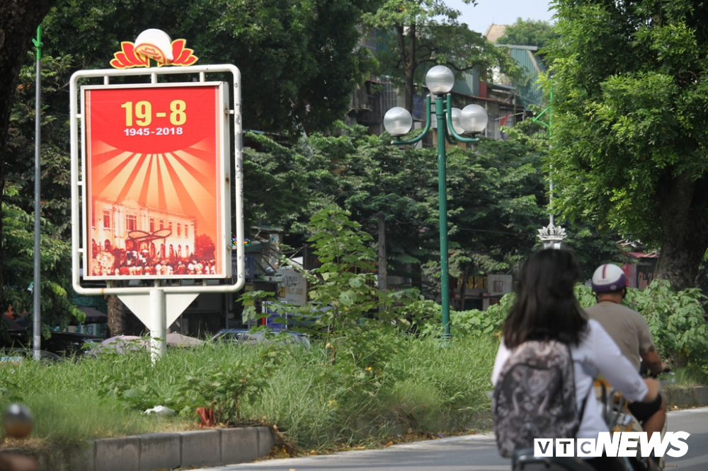 anh co cay dai moc cao qua dau nguoi um tum nhu rung giua pho ha noi