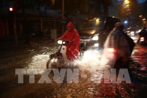 mua to nhu trut duong pho ha noi lai bien thanh song