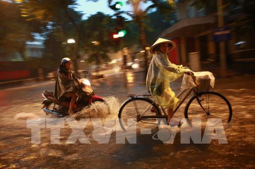 mua to nhu trut duong pho ha noi lai bien thanh song