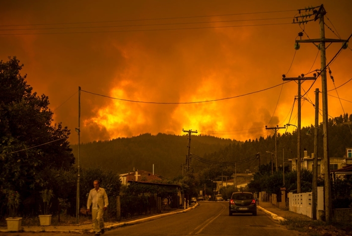 Nỗi tuyệt vọng của nông dân Hy Lạp khi cháy rừng thiêu sống đàn dê 372 con - 2