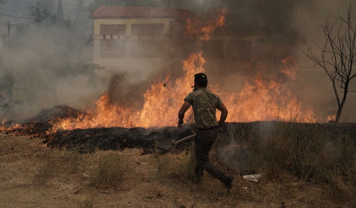 Nỗi tuyệt vọng của nông dân Hy Lạp khi cháy rừng thiêu sống đàn dê 372 con - 1