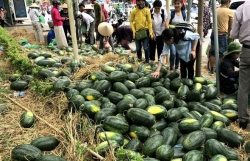 nong san co khi phai vao sieu thi bang cua sau