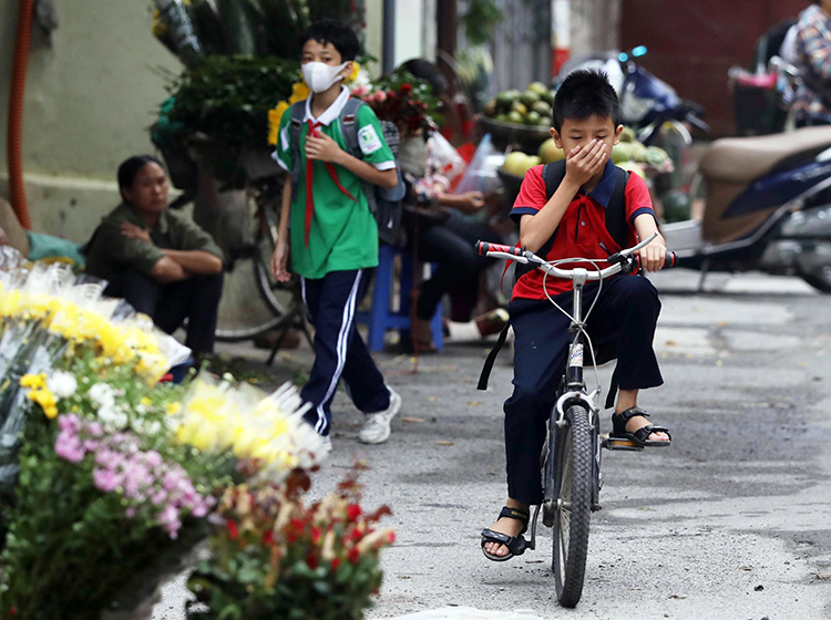 bo doi hoa hoc dang tay doc kho rang dong