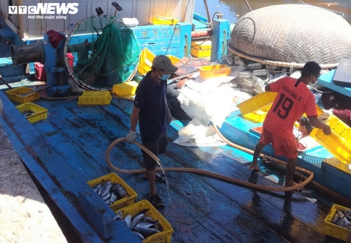 Ảnh: Cảng cá ở Quảng Ngãi đóng cửa, hàng trăm tấn hải sản ứ đọng - 3