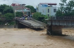 dinh huu du hay la canh chim bay cao tren troi may yen bai