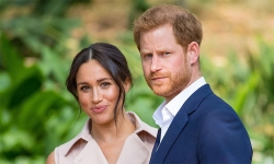 harry meghan co the den my song