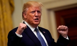 nhung nguoi thay xau ho vi ung ho trump