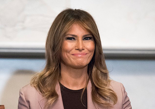 melania lan dau mot minh den quoc hoi my