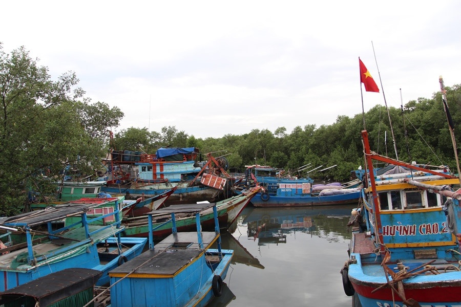 tphcm san sang di doi hon 800 nguoi o xa dao thanh an vao bo tranh bao