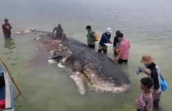 may bay indonesia cho 189 nguoi roi noi dung du lieu tu hop den