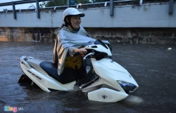 vi sao nhung con bao muon do bo vao mien nam de thanh tham hoa