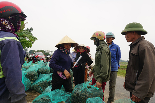 nghe ma khiep bo kho vai nam khong hong ca kho ruoi khong dam dau