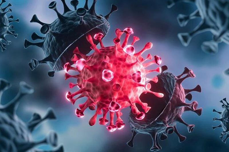 Những đột biến mới của virus nCoV nâng cao khả năng lây nhiễm