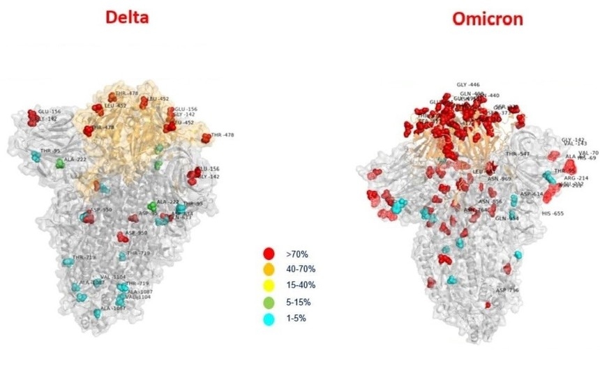 so sánh các đột biến trên biến chủng Omicron và Delta